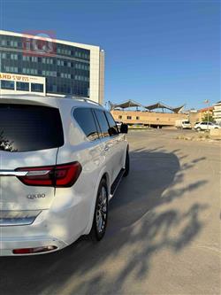 ئينفنتي QX80